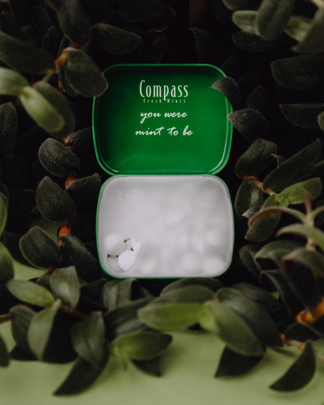 Compass Peppermint Sugar-Free Fresh Mints