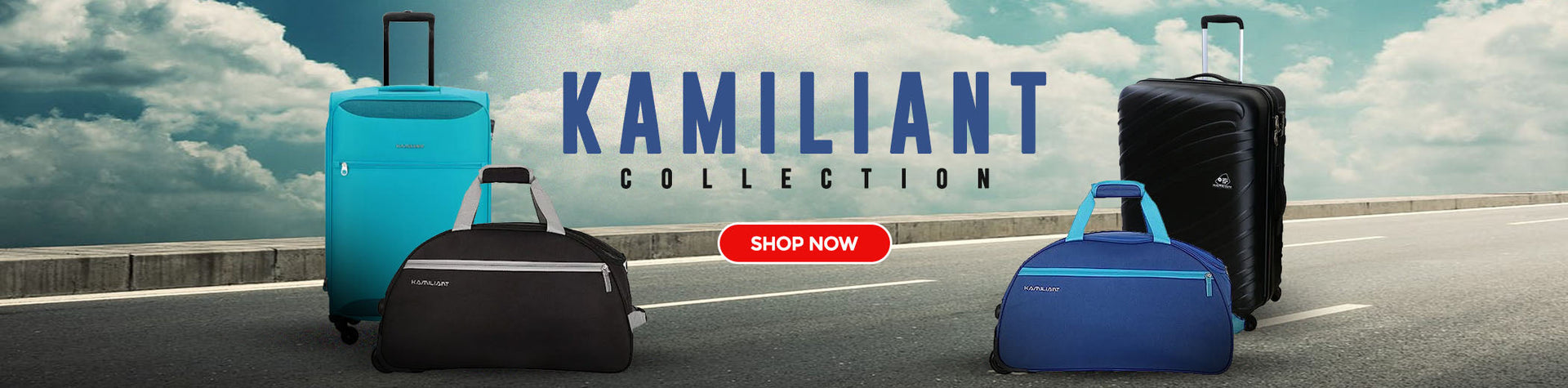 Luggage Sale