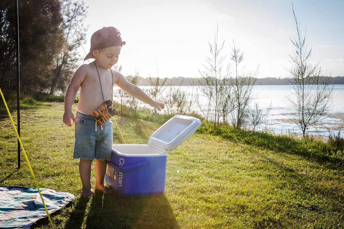 Coleman 16-Qt High Performance Cooler – Portable & Efficient