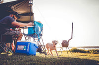Coleman 16-Qt High Performance Cooler – Portable & Efficient