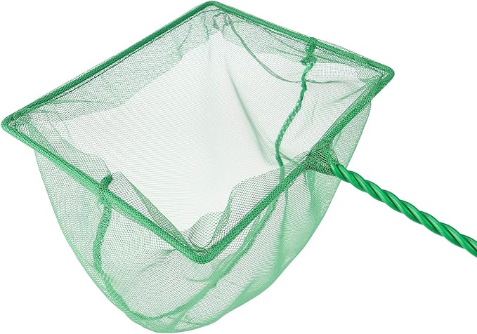 Coghlan's Pond Net