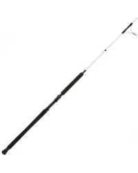 PENN 1422411 Battalion Inshore Popping 80lb