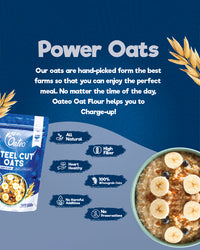 Oateo Steel Cut Oats 500 gms ziplock