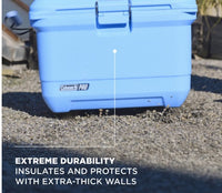 Coleman Pro 45 Quart Cooler Box – 43L Heavy-Duty Camping Ice Chest
