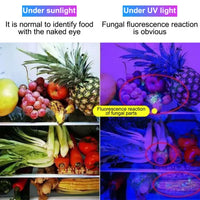 K-206 Portable UV Inspection Flashlight
