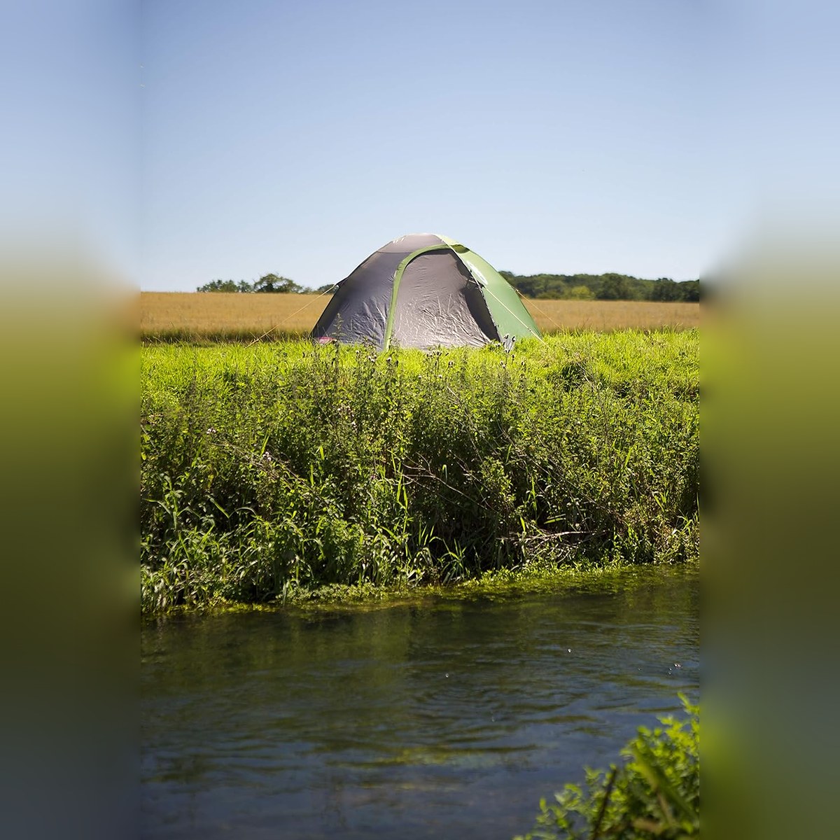 Coleman Darwin 3 Tent, Compact 3 Man Dome Tent, Green/Grey