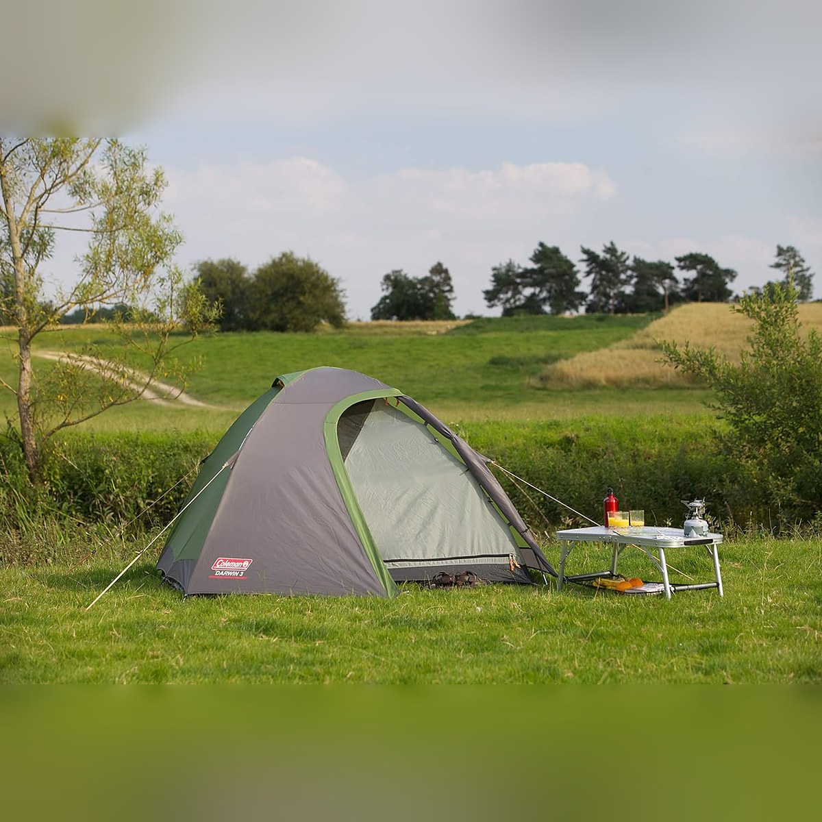Coleman Darwin 3 Tent, Compact 3 Man Dome Tent, Green/Grey