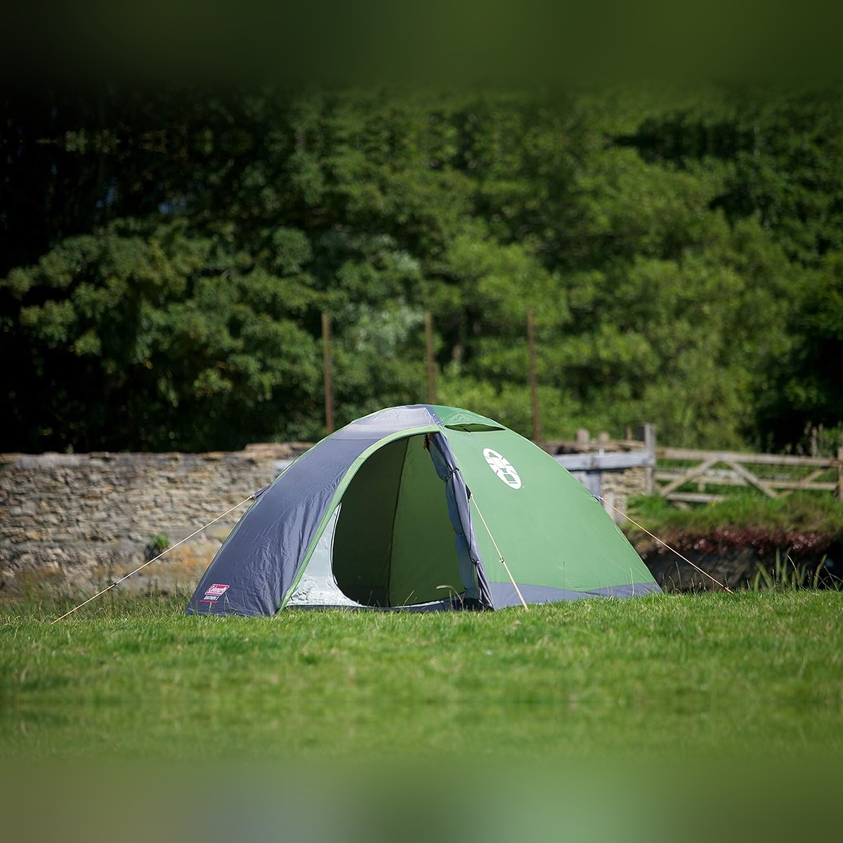 Coleman Darwin 3 Tent, Compact 3 Man Dome Tent, Green/Grey