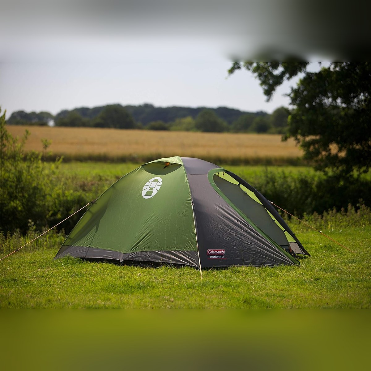 Coleman Darwin 3 Tent, Compact 3 Man Dome Tent, Green/Grey