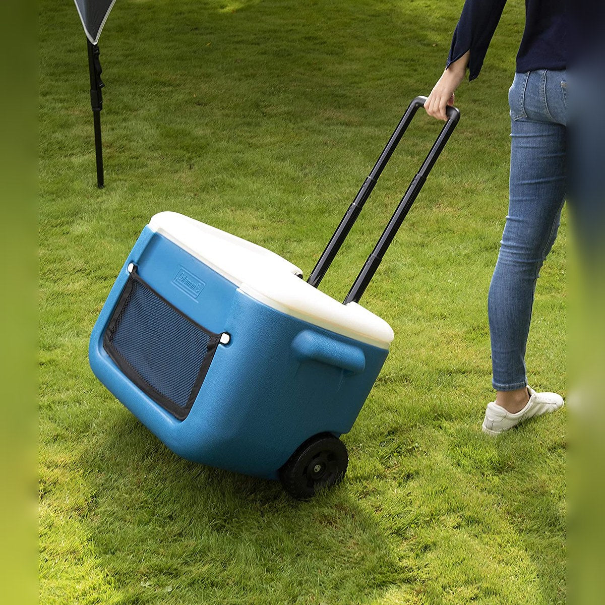 Coleman 50 Quart Cool Box
