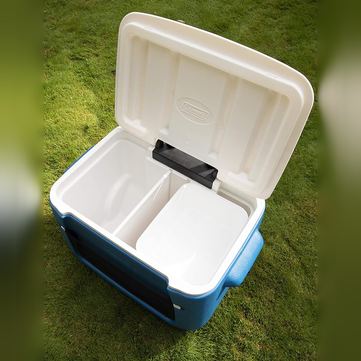 Coleman 50 Quart Cool Box