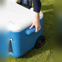 Coleman 50 Quart Cool Box