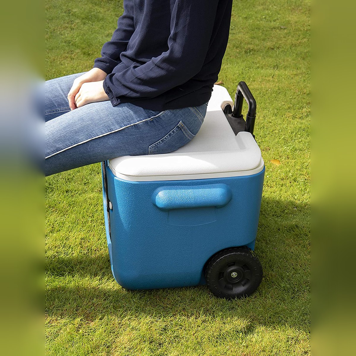 Coleman 50 Quart Cool Box
