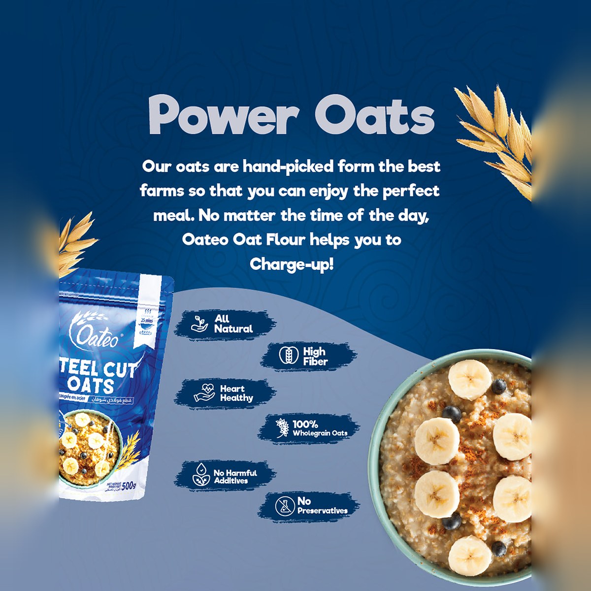 Oateo Steel Cut Oats 500 gms ziplock