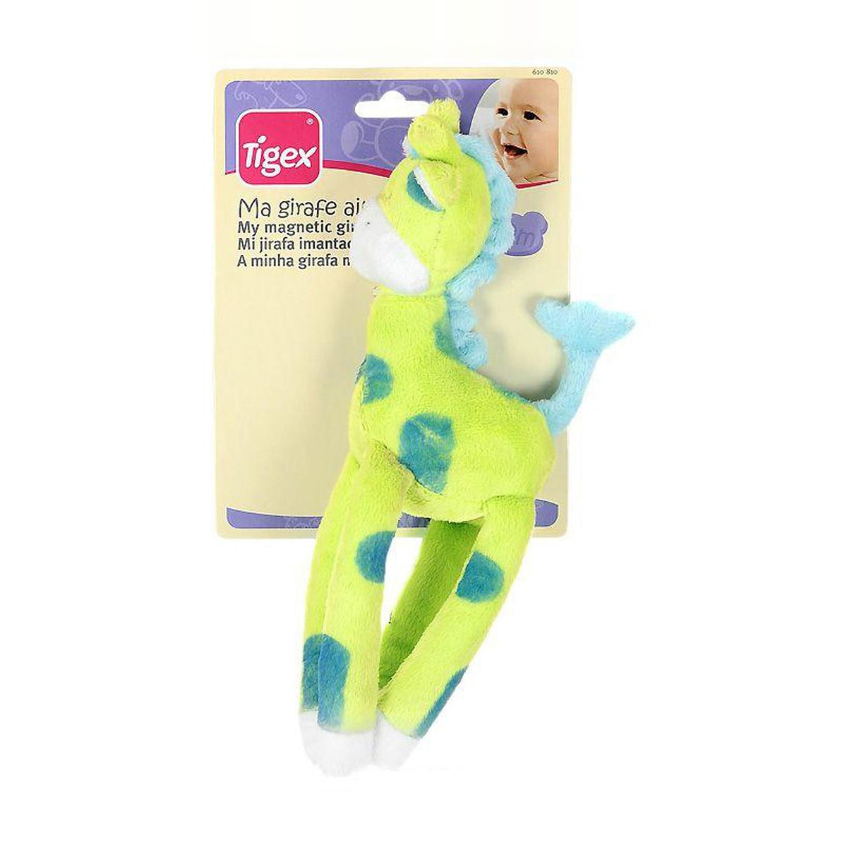 Magnetic Giraffe
