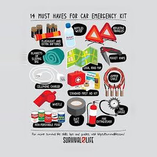 CAR EMERGENCY SURVIVAL CHECKLIST POSTER