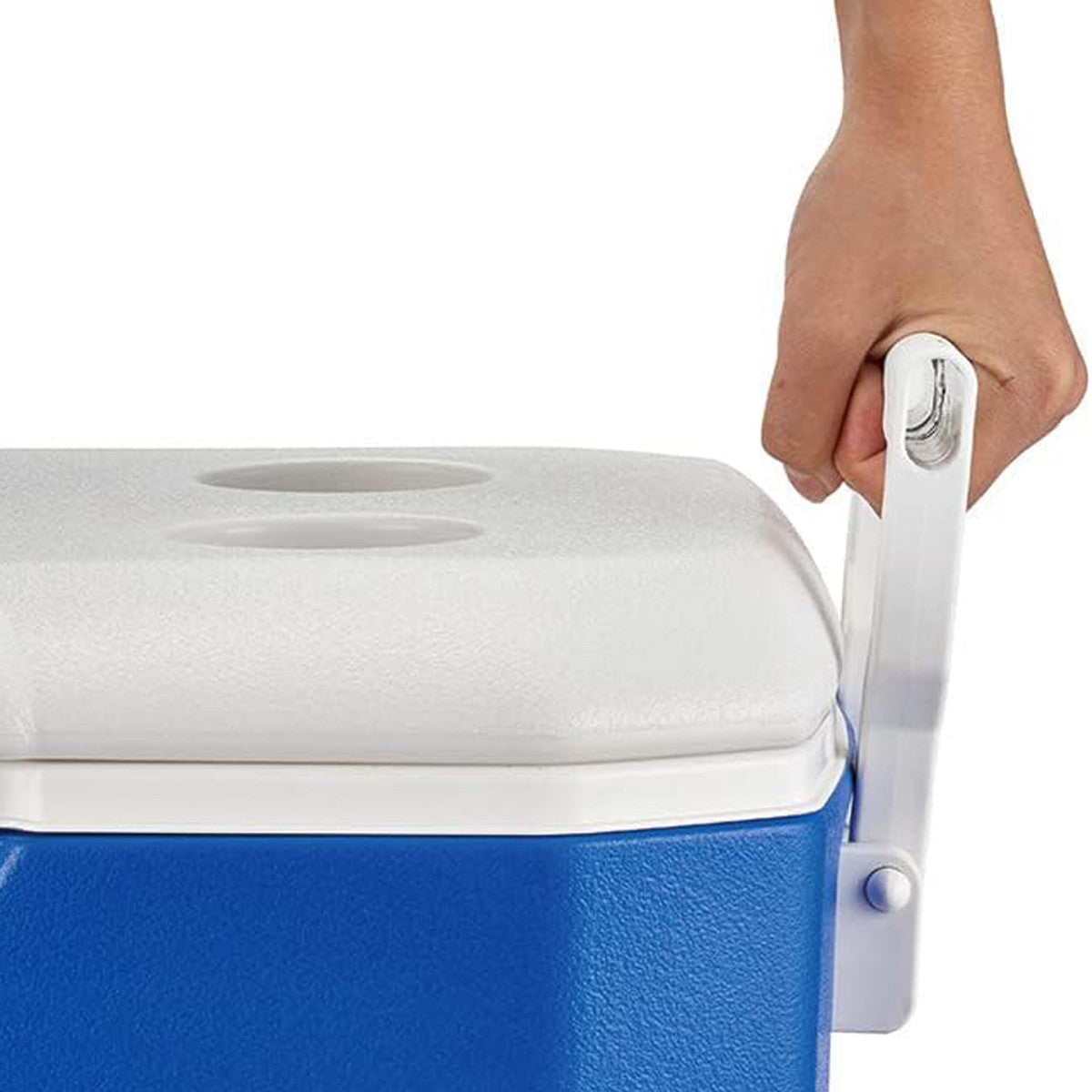 Coleman 48 Quart Cooler